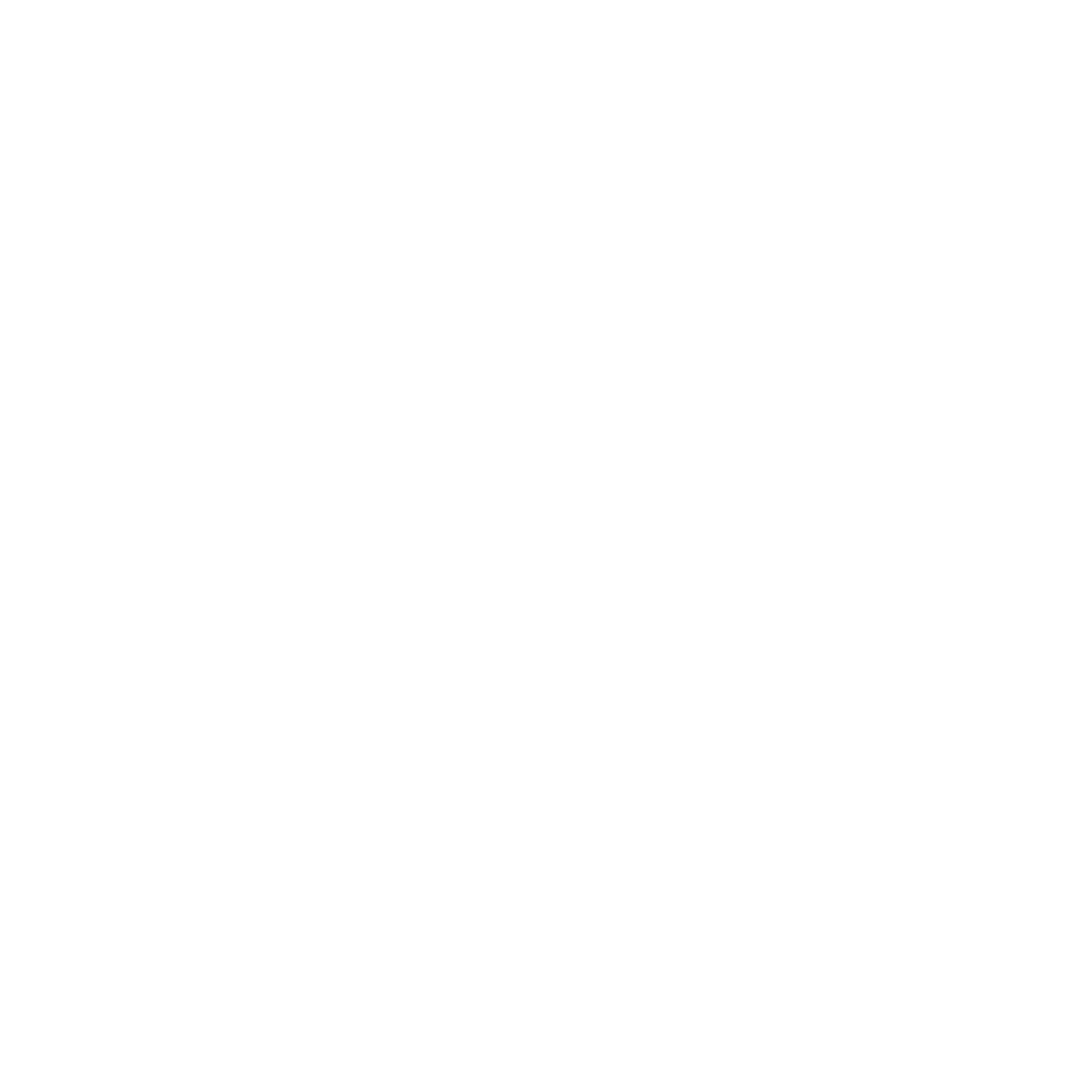 Logos-HiddenLevel-REV