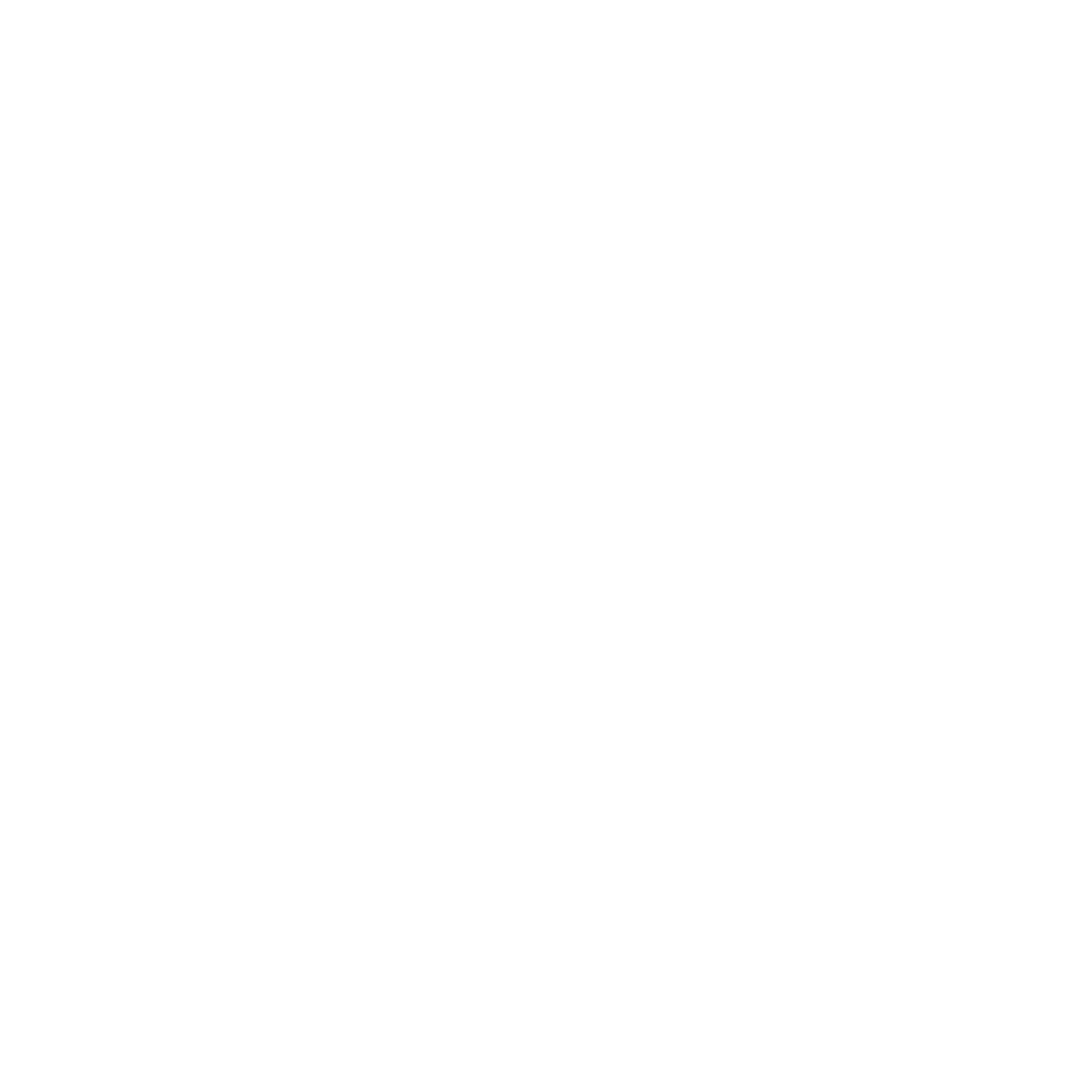 Logos-Radical Vector Consulting