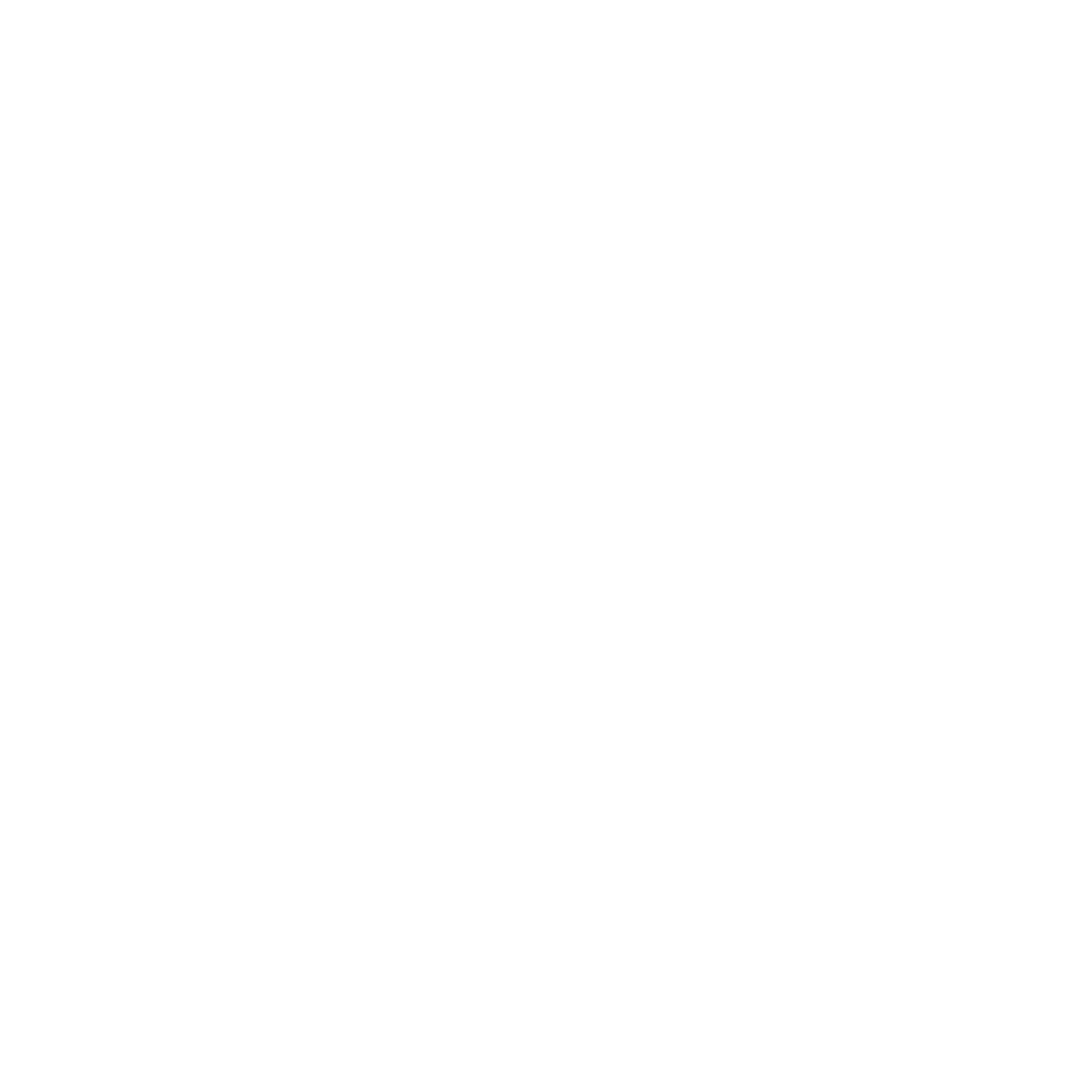 LogosuAvionix-REV